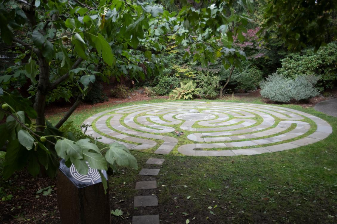 labyrinth path surrounded by grass