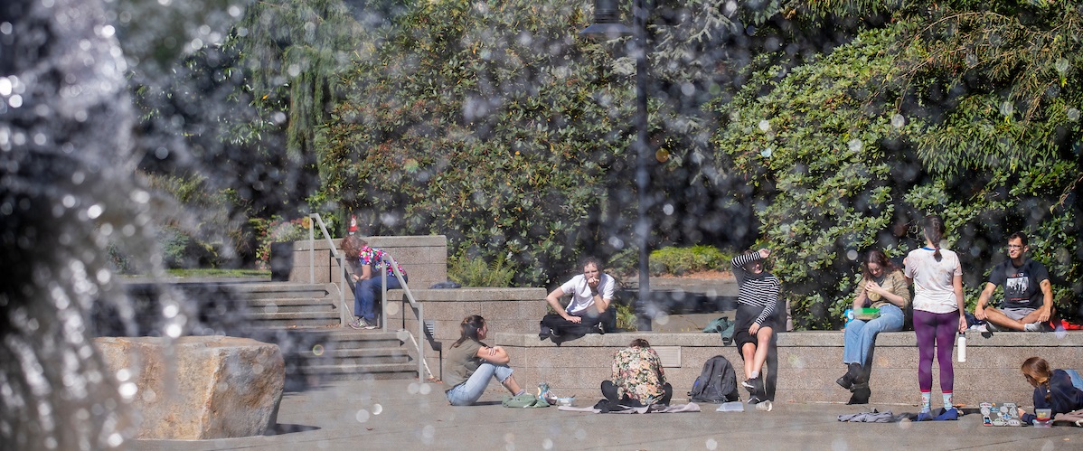 Students studying by the fountain in the quad