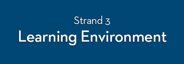 MIT Strand 3 - Learning Environment