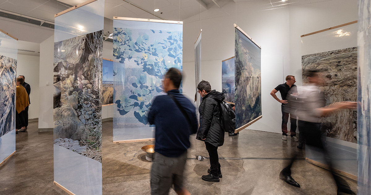 Photography of people admiring hanging pieces of art at the Shaped by Nature gallery