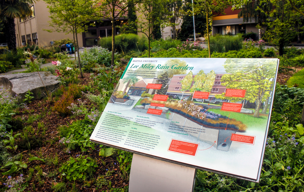 Lee Miley Rain Garden with garden sign