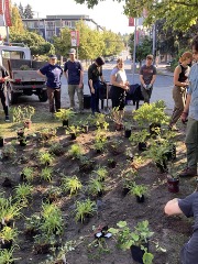 Flag-Pole-Rain-Garden-1