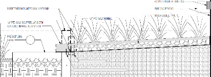 Rain-Gardens-Sinegal-6