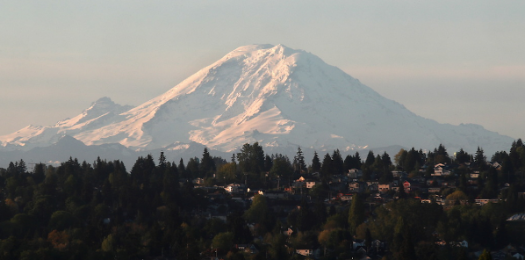 Mt Rainier in the background